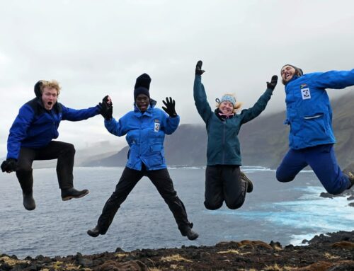 Leaping into spring on Marion Island