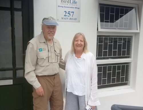 Schirmherr Peter Harrison MBE besucht das Büro des Mouse-Free Marion Project in Kapstadt