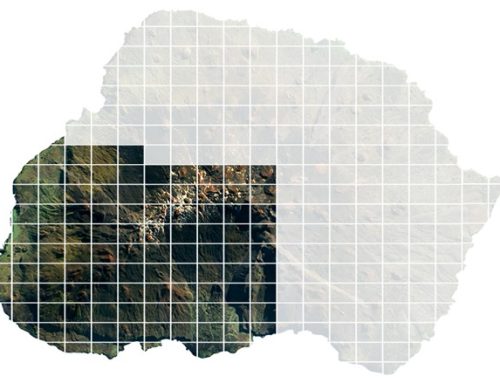 The Mouse-Free Marion Project’s Sponsor a Hectare scheme gets an update: now at 45.3% of target