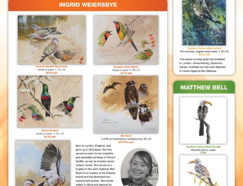 BirdLife Lowveld holds an art auction to mark its 40th Anniversary and donates the proceeds to the Mouse-Free Marion Project