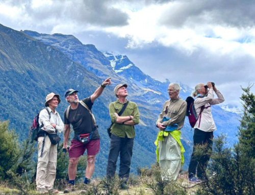 The MFM Project goes to New Zealand: the fourth Island Invasives Conference in Auckland, February 2026