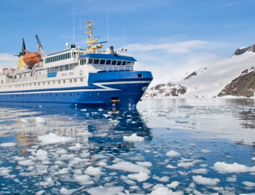 Polar Latitudes Expeditions sails South and raises R387 152 for the Mouse-Free Marion Project