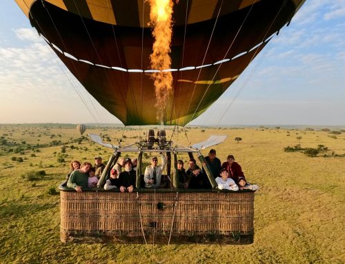 Safari company Africa Geographic sponsors 19 hectares to help “wild spaces survive and thrive for future generations”