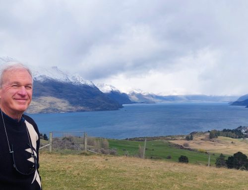 Shaun Schneier increases his sponsorship of the Mouse-Free Marion Project to 279 hectares