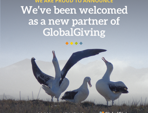 New!  The GlobalGiving Platform allows UK and USA residents to receive tax benefits for their donations to the Mouse-Free Marion Project