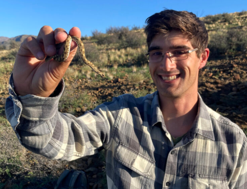 University student aims to raise R10 000 for the Mouse-Free Marion Project by running a half marathon in the Kruger National Park