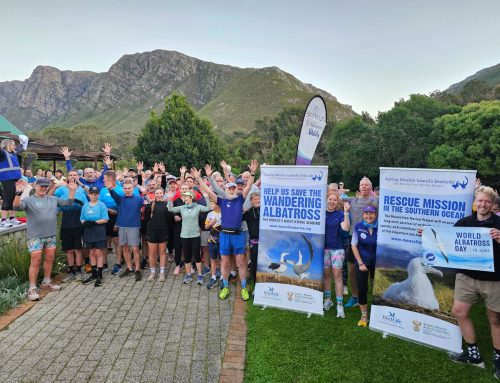 The Mouse-Free Marion Project spreads the word on World Albatross Day with an albicake, posters and a parkrun!