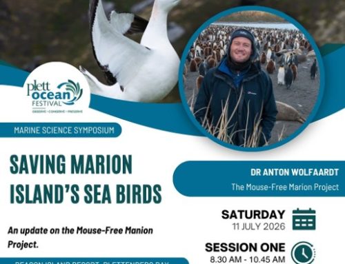 Anton Wolfaardt, Mouse-Free Marion Project Manager, lectured at the Plett Ocean Festival this month