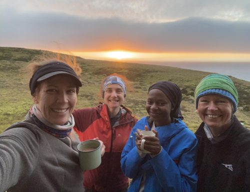 Dashing through the snow: MFM Project’s all-female field team heads to Marion Island on a winter relief voyage
