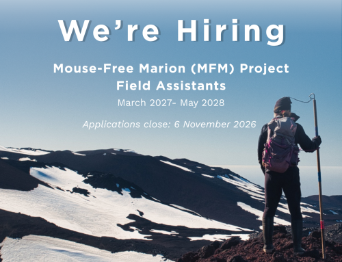 We’re hiring.  Mouse-Free Marion Project Field Assistants (March 2027 – May 2028)